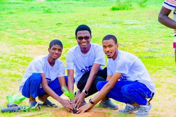 Field Seedling Planting