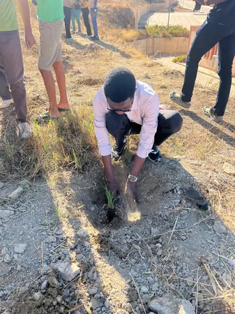 Dryland Planting Under Sun